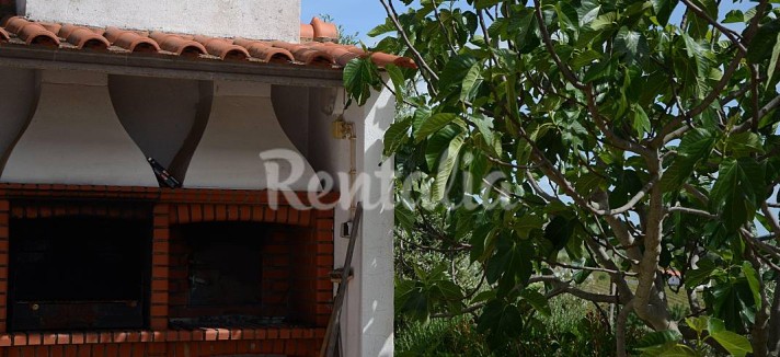 h.3241283.1070.680.0.ffffff.wm_.02d53082