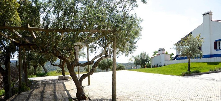 h.3241285.1070.680.0.ffffff.wm_.d93405c5