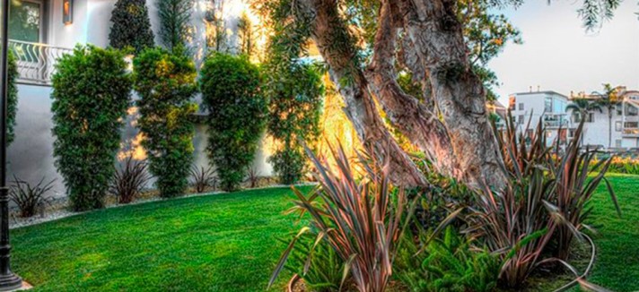 ice-cube-buys-house-in-marina-del-ray-ca-tree