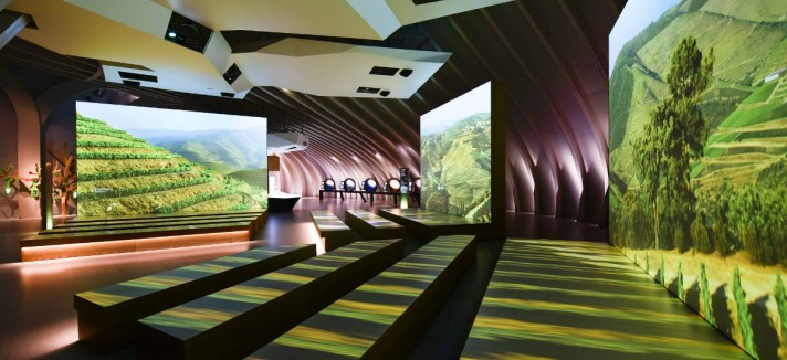 26660668284_d6f2e14027_o