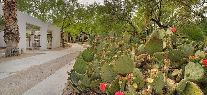 34c0d14700000578-3615257-image-a-83_1464543204085