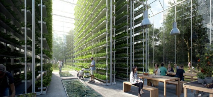 granja-vertical-regen-aldea