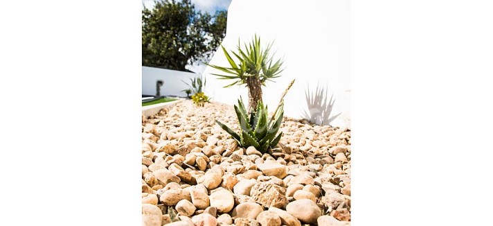 h.7854960.1070.680.0.ffffff.wm_.7907f31a