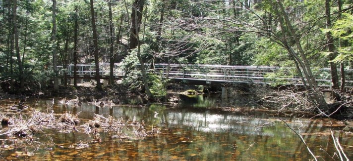 michigan_12