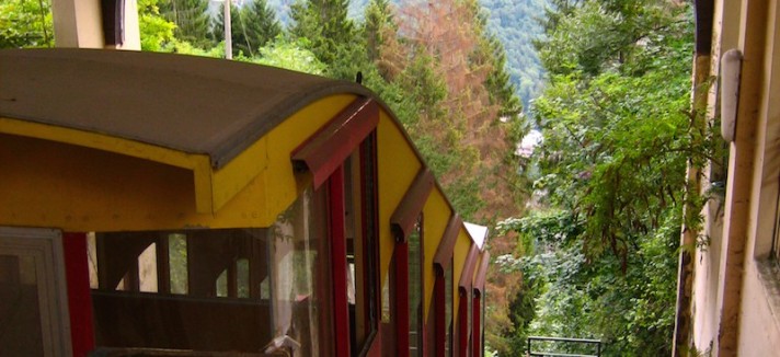 432302017_616ee26fd3_o