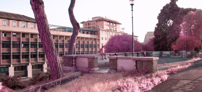 roma_rosa_07