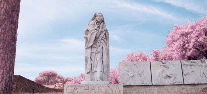roma_rosa_10