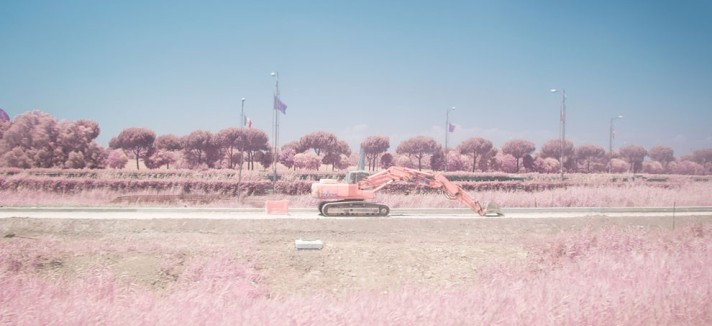 roma_rosa_11