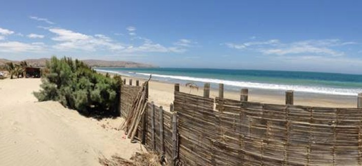 431c0d_a4994b7fecce484ebc190099ea05e827