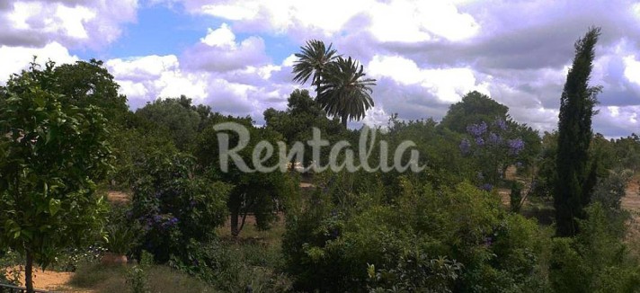 casa-ensueno-hacienda-cadiz6