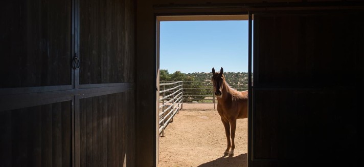 edcd66ed2ac7111b892b321d6716449469659554