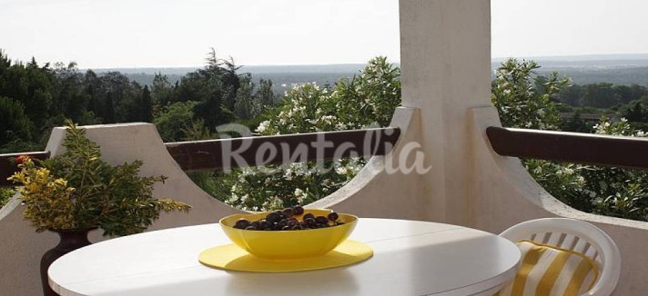 h.1259939.1070.680.0.ffffff.wm_.ced29929