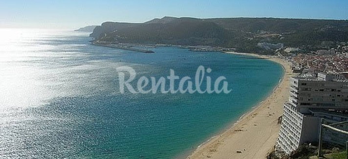 h.1272821.1070.680.0.ffffff.wm_.eef627a9