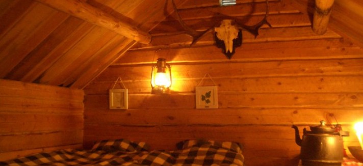 photo_skogens_konung_09