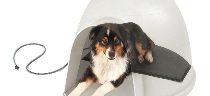 cc37f665-3320-411a-bdb6-f03de86ba32c.jpg._cb315472899_