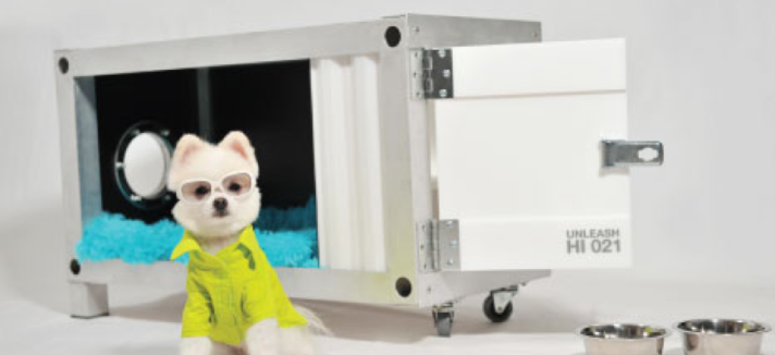 container_doghouse_21