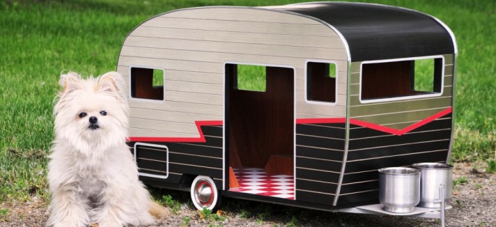 dsc_2682-e1403585054528