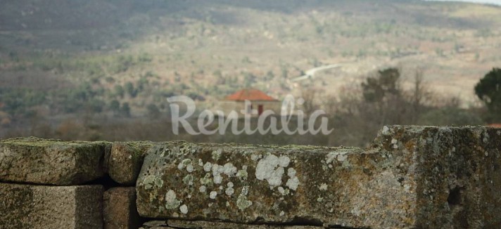 h.9262427.1070.680.0.ffffff.wm_.0e46c180