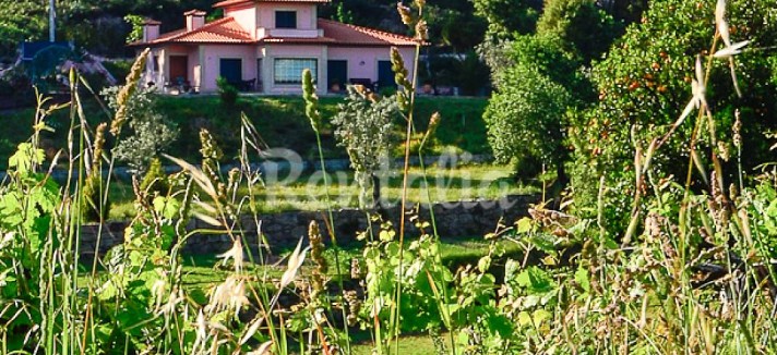 h.1943595.1070.680.0.ffffff.wm_.7c51c59c