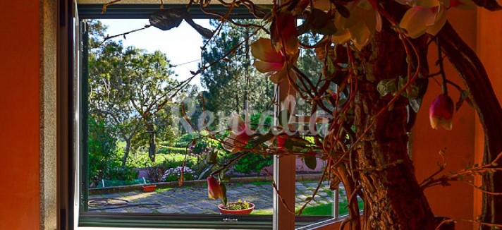 h.1943596.1070.680.0.ffffff.wm_.b09d91e4