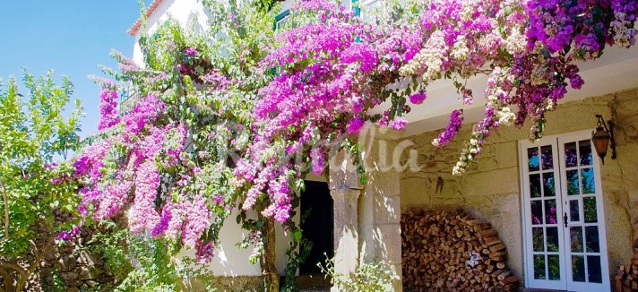 h.7617308.1070.680.0.ffffff.wm_.d186c630