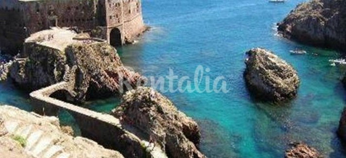 h.10254173.1070.680.0.ffffff.wm_.105c5b76