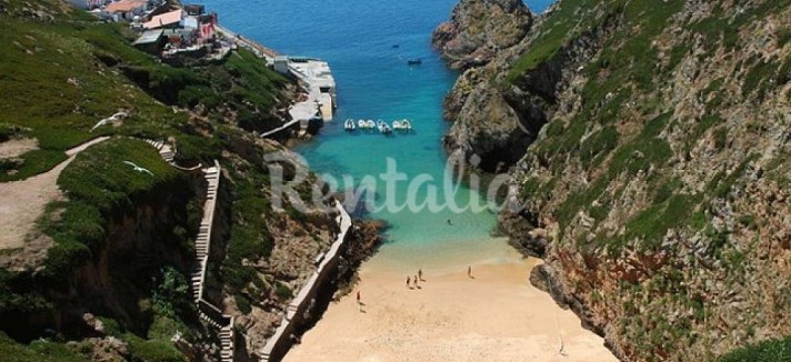 h.10254277.1070.680.0.ffffff.wm_.13c55c6d