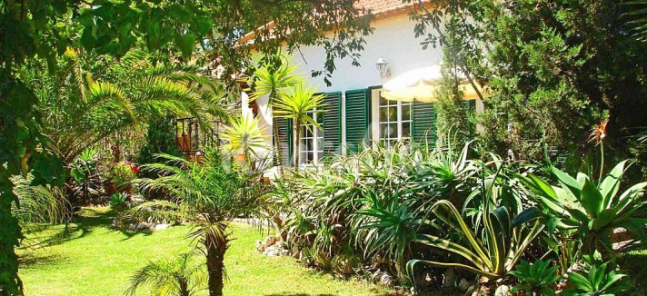 h.1205658.1070.680.0.ffffff.wm_.57994676