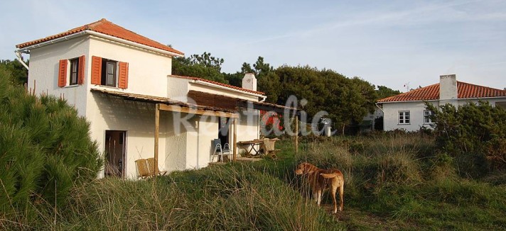 h.6097549.1070.680.0.ffffff.wm_.9e6a266f