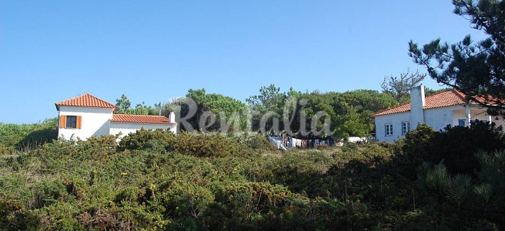 h.6097620.1070.680.0.ffffff.wm_.9129b238