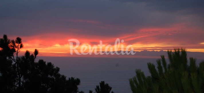 h.6097631.1070.680.0.ffffff.wm_.53ac4f35