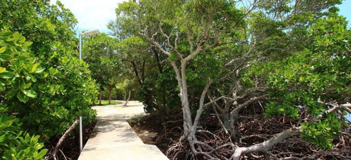 img_796x4932017_02_15_09_33_29_303468