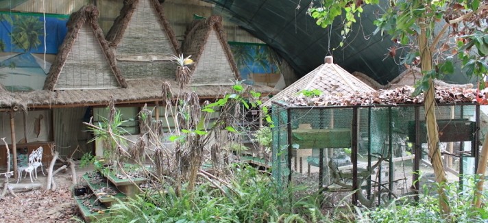 parque_jurasico_02