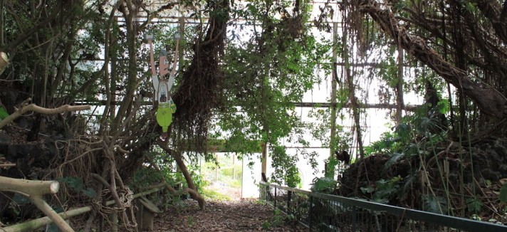 parque_jurasico_03