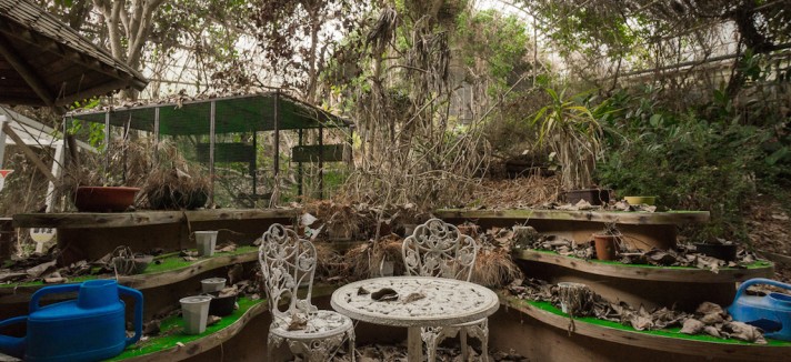 parque_jurasico_04