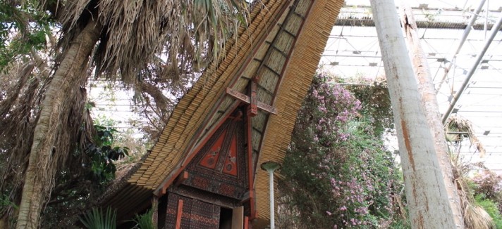 parque_jurasico_08