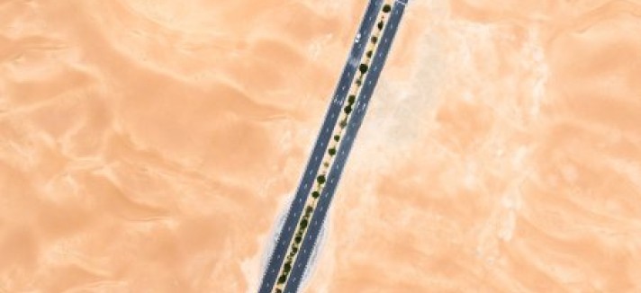 dubai_10