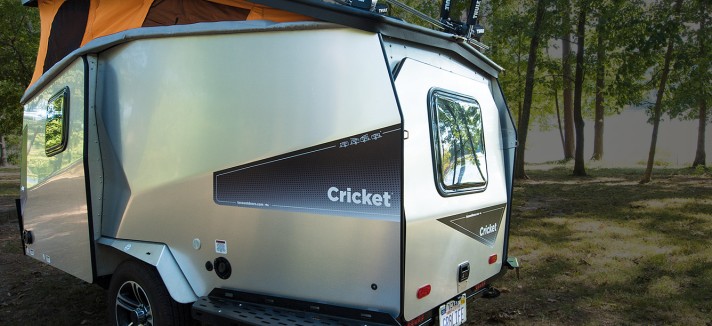 cricket_00