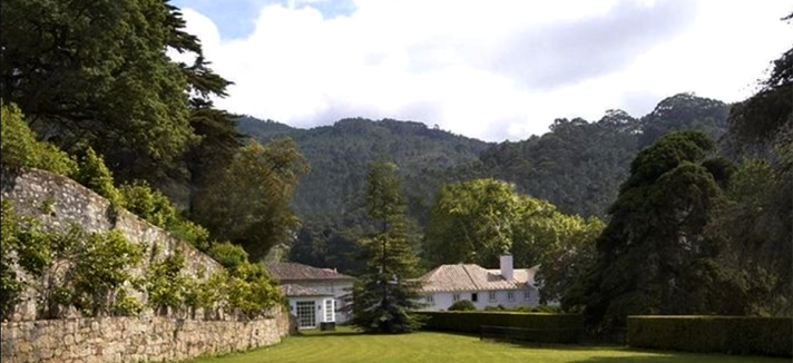 quinta_do_vinagre_madonna_02