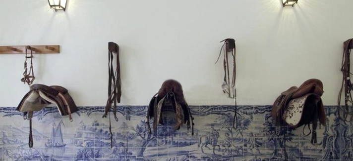 quinta_do_vinagre_madonna_09