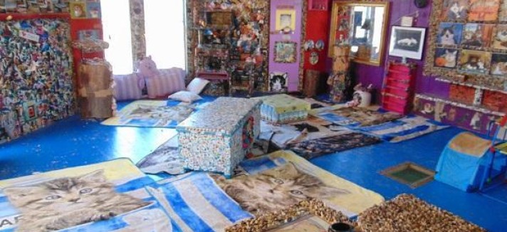 craziest-cat-house-ever-stanford-concho-arizona-4_0