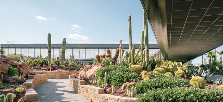 jardin_de_cactus-madrid