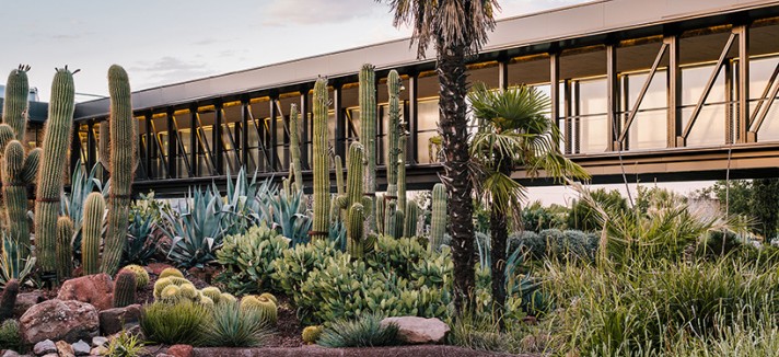 jardin_de_cactus-madrid1_0