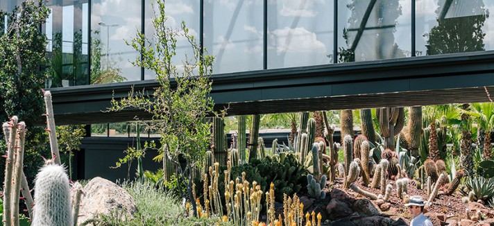 jardin_de_cactus-madrid2
