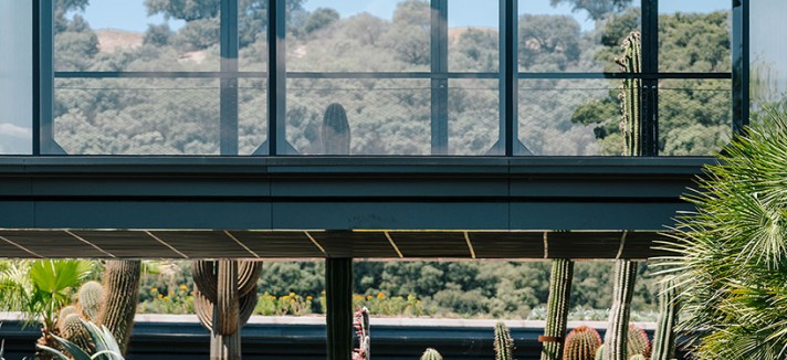 jardin_de_cactus-madrid3