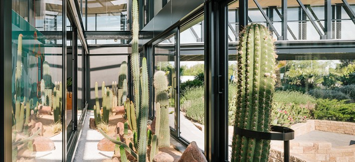 jardin_de_cactus-madrid4