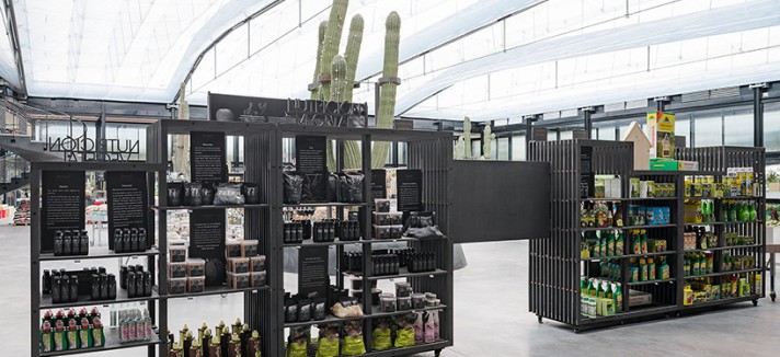 jardin_de_cactus-madrid5