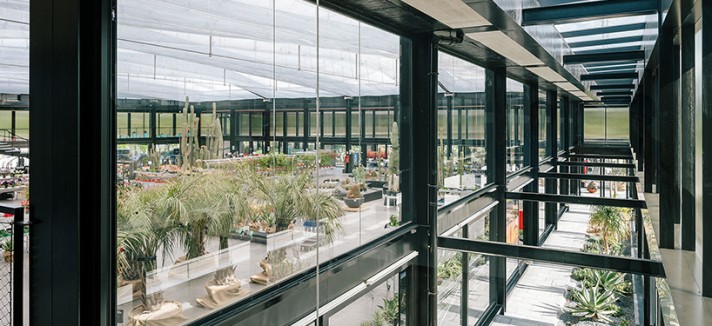 jardin_de_cactus-madrid6