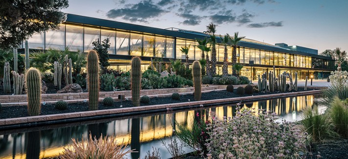 jardin_de_cactus-madrid7