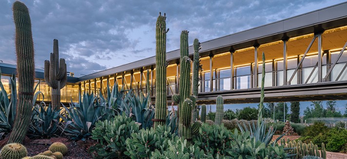 jardin_de_cactus-madrid8